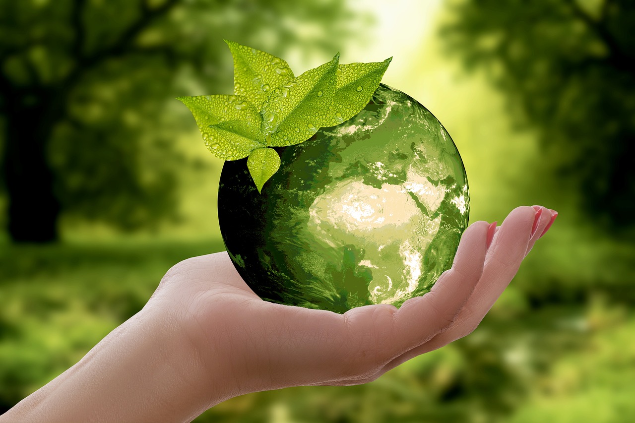 How Businesses Can Achieve Sustainability Goals Through Solar Energy
